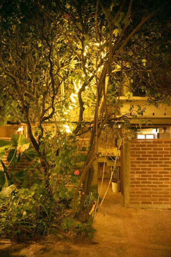The Coffee Bean Hostel San Cristobal de las Casas Bagian luar foto