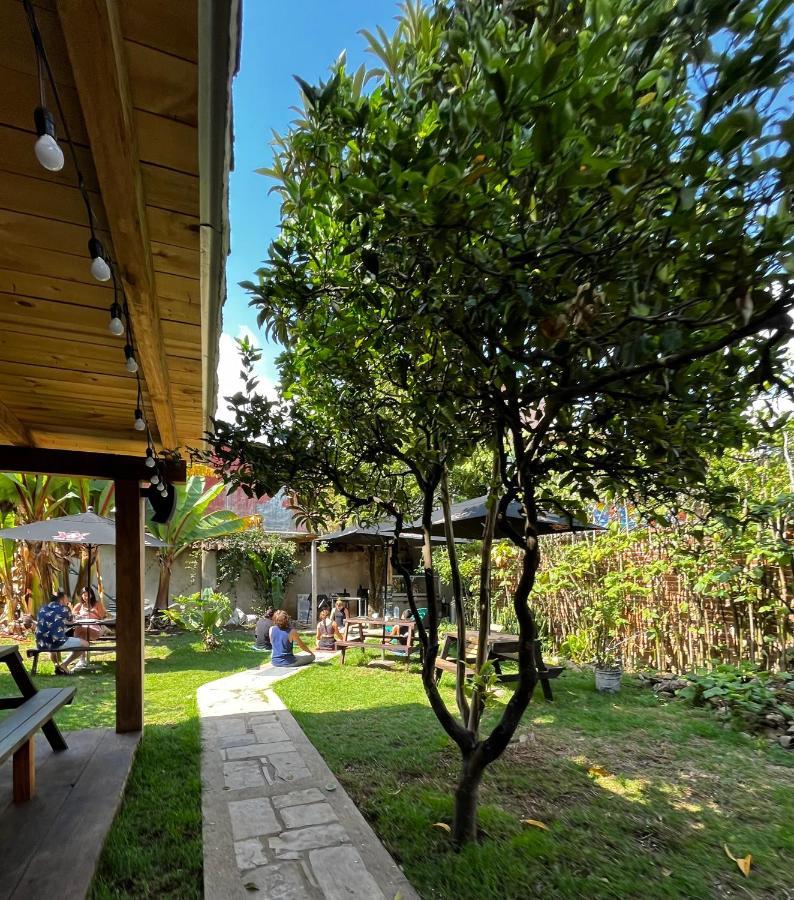 The Coffee Bean Hostel San Cristobal de las Casas Bagian luar foto
