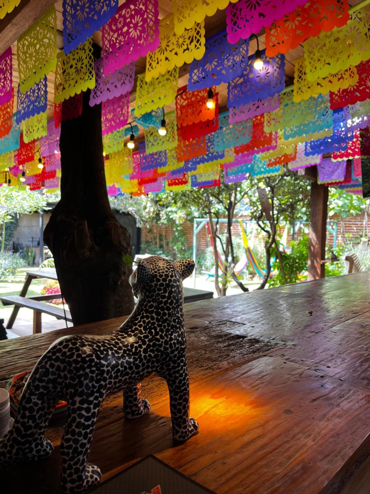 The Coffee Bean Hostel San Cristobal de las Casas Bagian luar foto