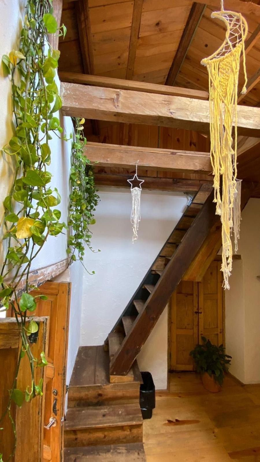 The Coffee Bean Hostel San Cristobal de las Casas Bagian luar foto
